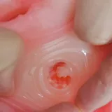 Mini Torso Doll product detail view