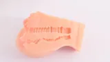 TPE Torso Doll product detail view