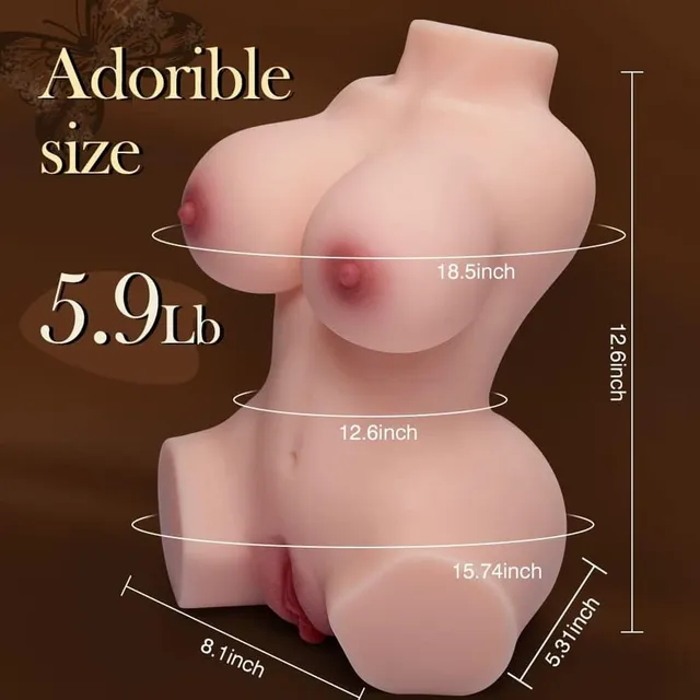 3-in-1 Realistic Torso supplier diagram showing height, base measurements, circumferences and a 5.9 lb weight label