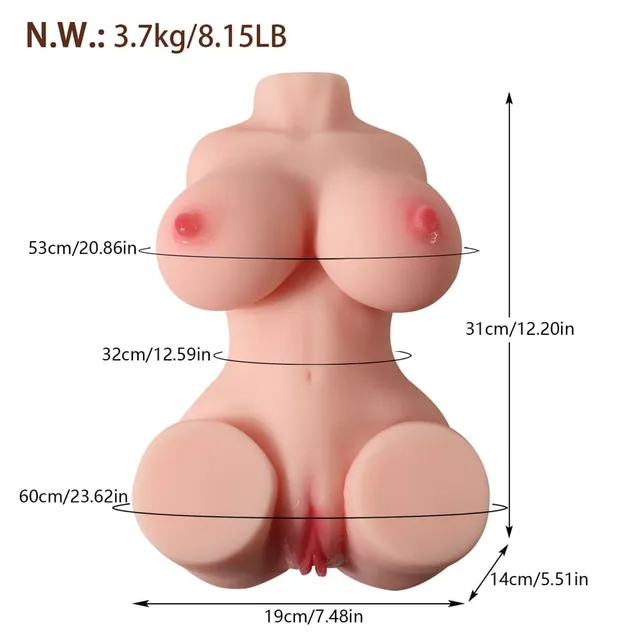 Realistic Torso Doll supplier dimension diagram marked 31 cm high, 19 cm bottom width, 14 cm bottom depth and 3.7 kg net weight, with separate circumferences