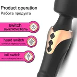 Dual Head Vibrator control diagram identifying the power, head and tail buttons on the gold-tone panel