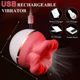 Supplier charging and size diagram of the red vibrator, marked 71 mm and 81 mm, with a USB cable and power-source icons